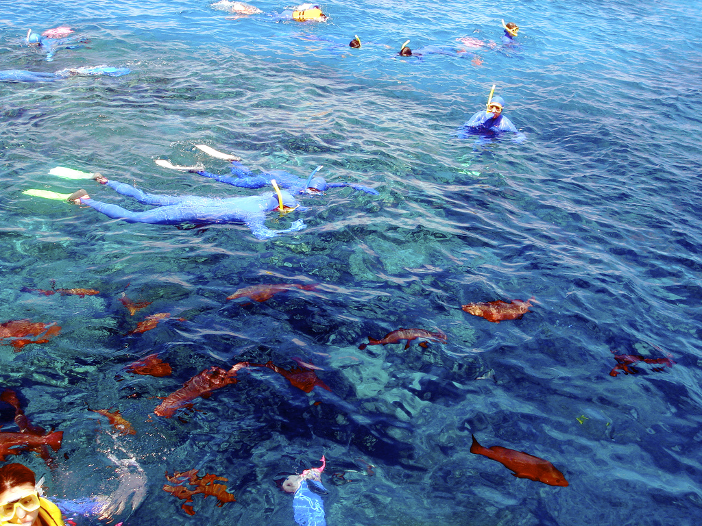 Great Barrier Reef